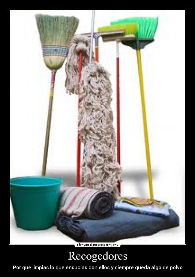 Recogedores - Por que limpias lo que ensucias con ellos y siempre queda algo de polvo