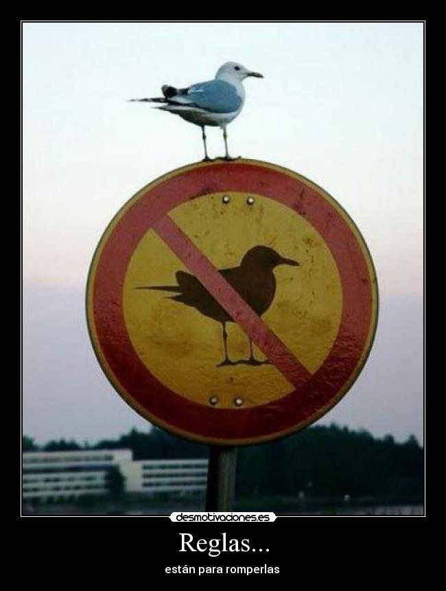 Reglas... - 