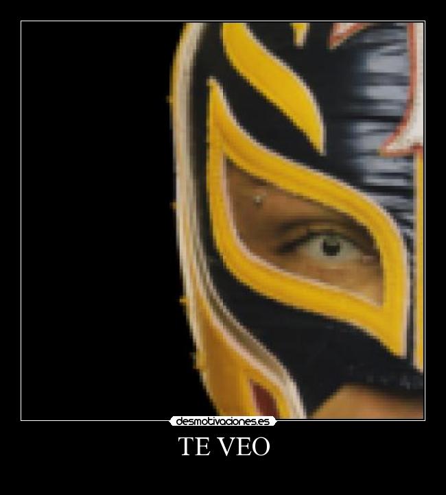 carteles wwwdesmotivacioneses desmotivaciones