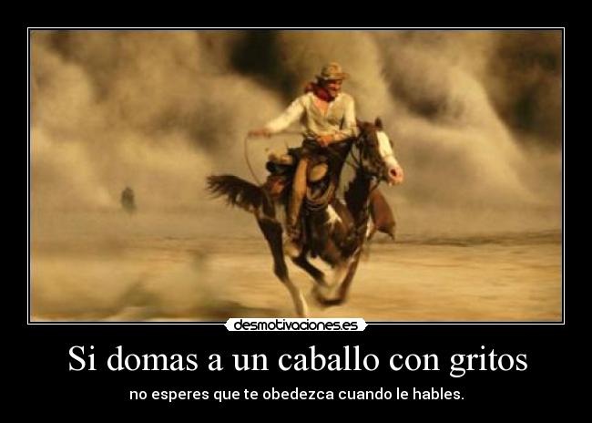 Si domas a un caballo con gritos - no esperes que te obedezca cuando le hables.