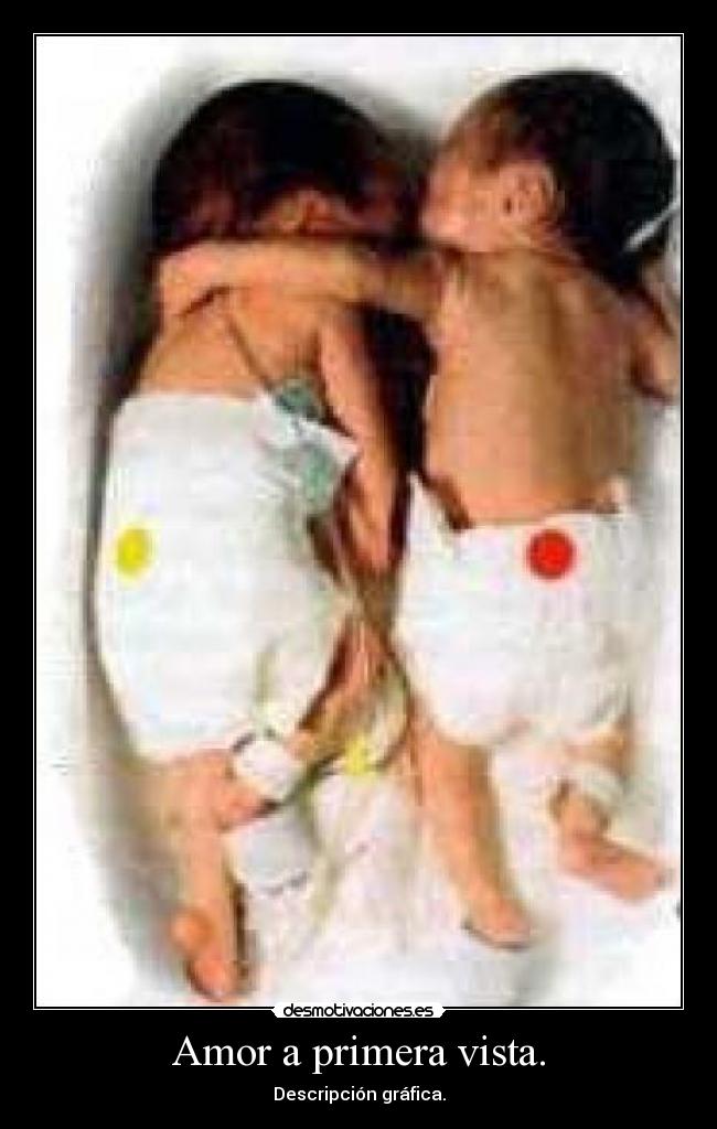 Amor a primera vista. - Descripción gráfica.