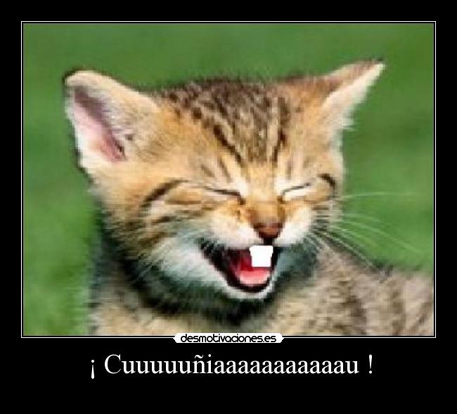 ¡ Cuuuuuñiaaaaaaaaaaau ! -