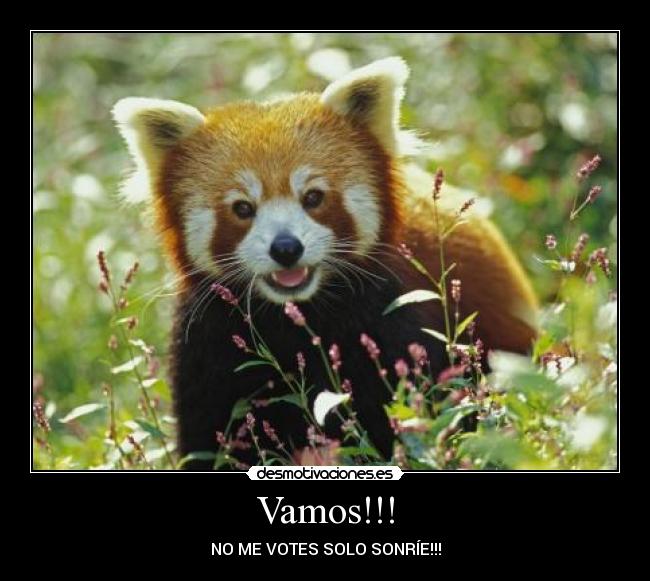 Vamos!!! -