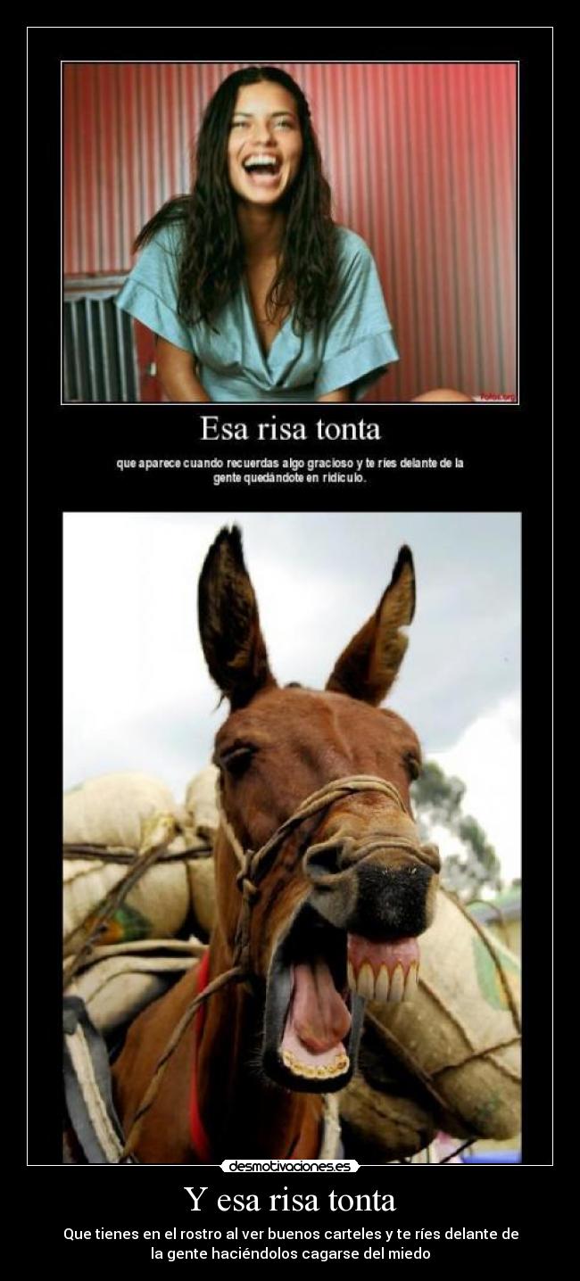 Y esa risa tonta - Que tienes en el rostro al ver buenos carteles y te ríes delante de
la gente haciéndolos cagarse del miedo
