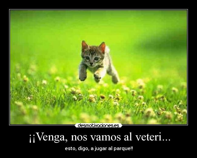 ¡¡Venga, nos vamos al veteri... - 
