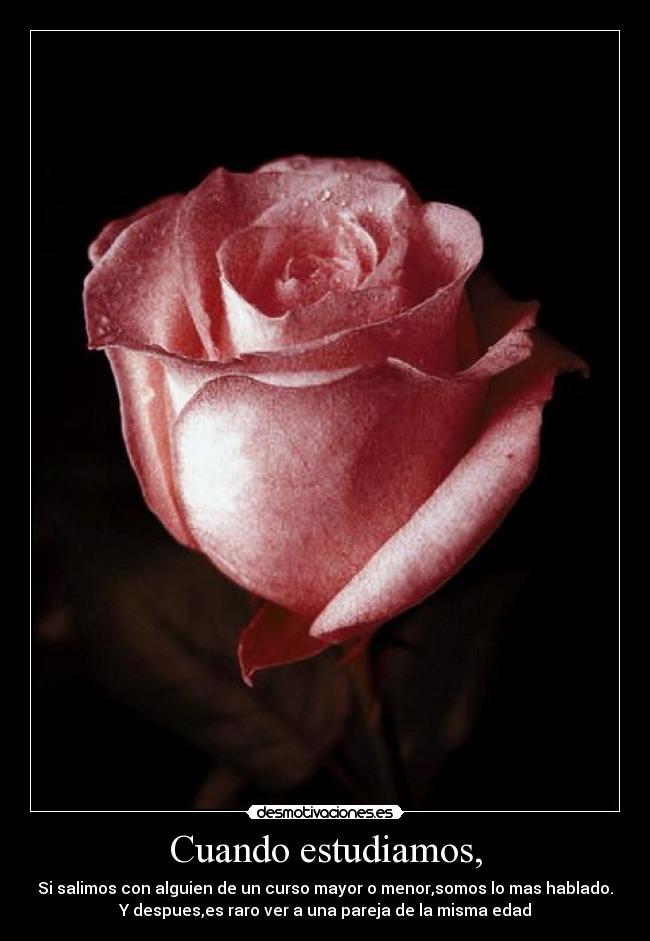 Cuando estudiamos, -