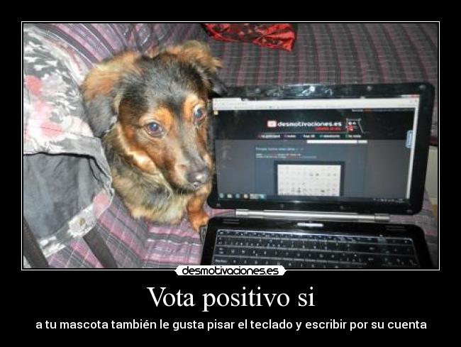 Vota positivo si - a tu mascota también le gusta pisar el teclado y escribir por su cuenta