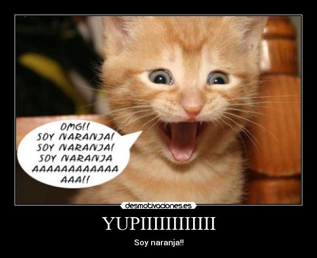 YUPIIIIIIIIIIII - Soy naranja!!