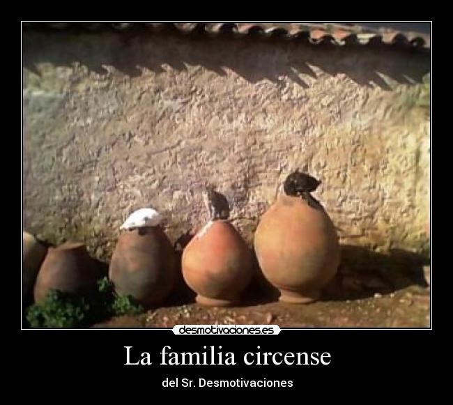 carteles familia gatos subidos tinajas desmotivaciones