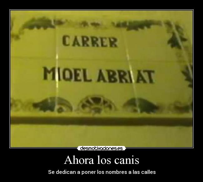 Ahora los canis - Se dedican a poner los nombres a las calles