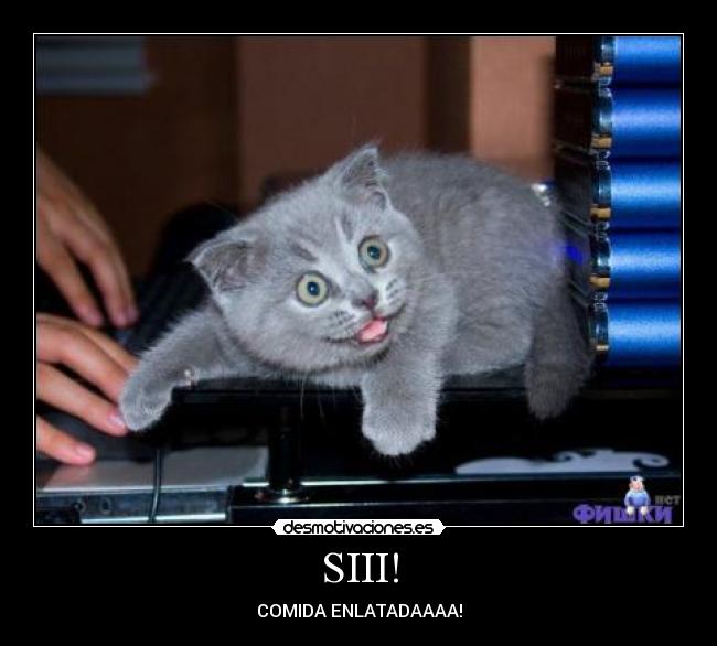 carteles yheaaa desmotivaciones