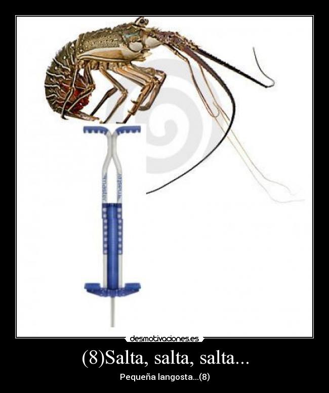 (8)Salta, salta, salta... - 