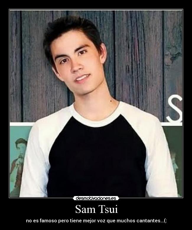 Sam Tsui -