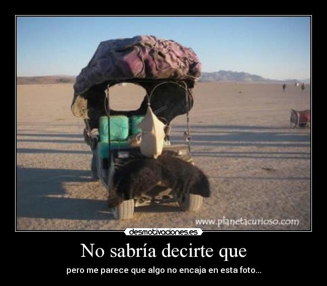 No sabría decirte que - 