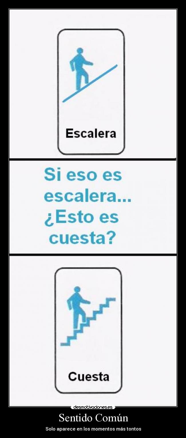 Sentido Común - Solo aparece en los momentos más tontos