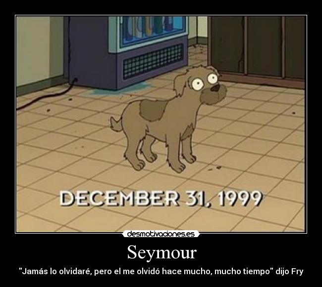 Seymour - 