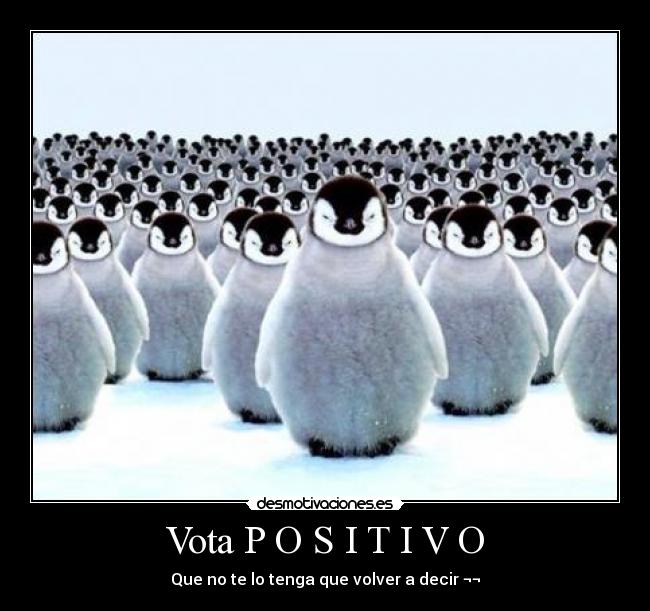 Vota P O S I T I V O - 