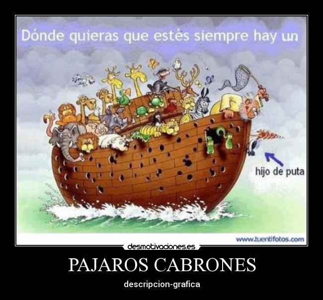 PAJAROS CABRONES -