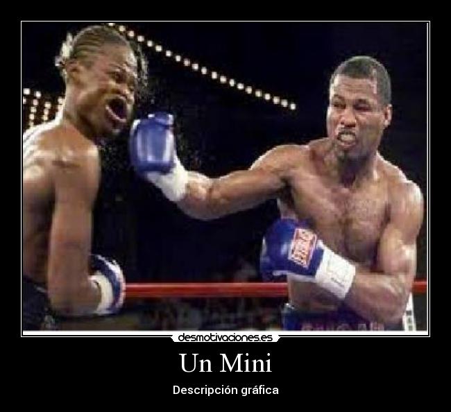 Un Mini - Descripción gráfica