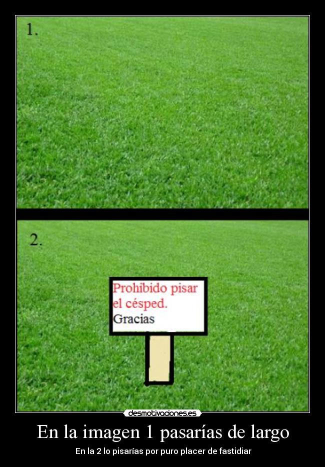 En la imagen 1 pasarías de largo - 