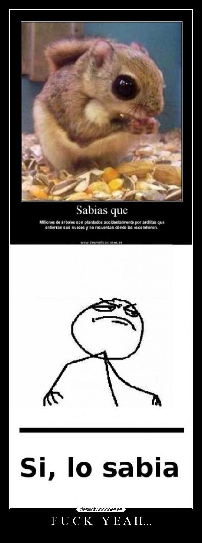 F U C K Y E A H... -