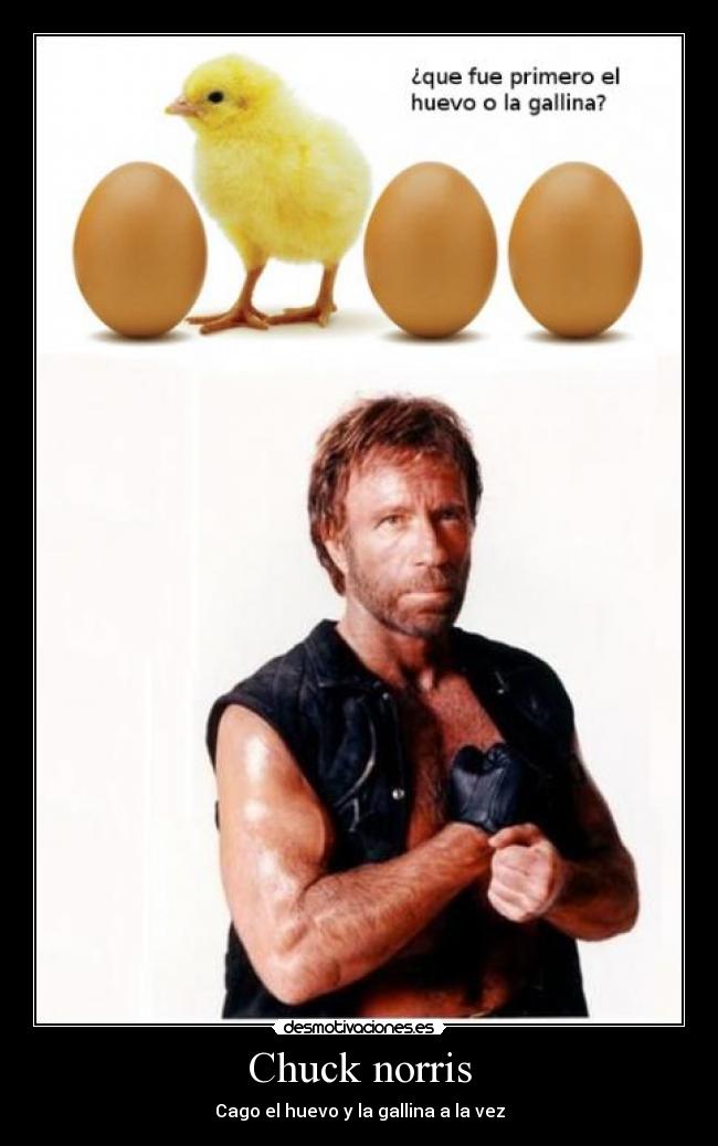 Chuck norris -