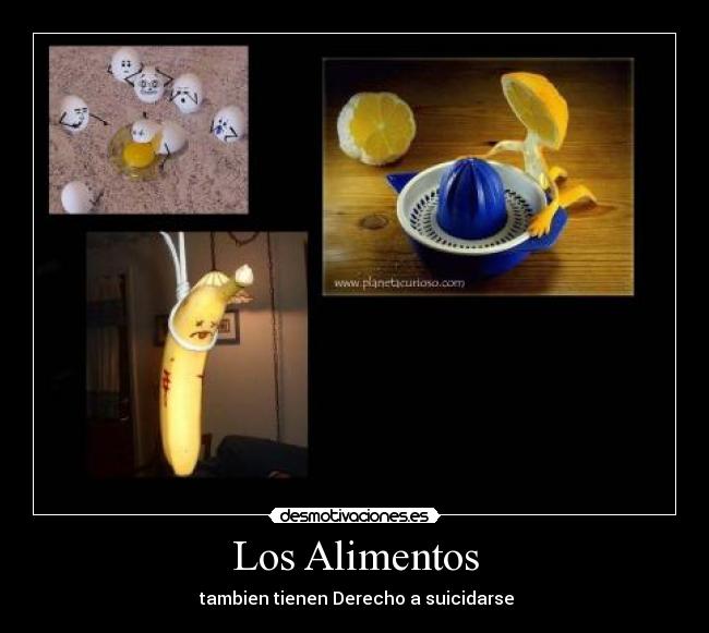 Los Alimentos - 