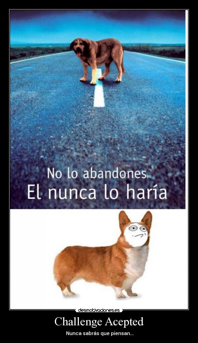 Challenge Acepted - Nunca sabrás que piensan...