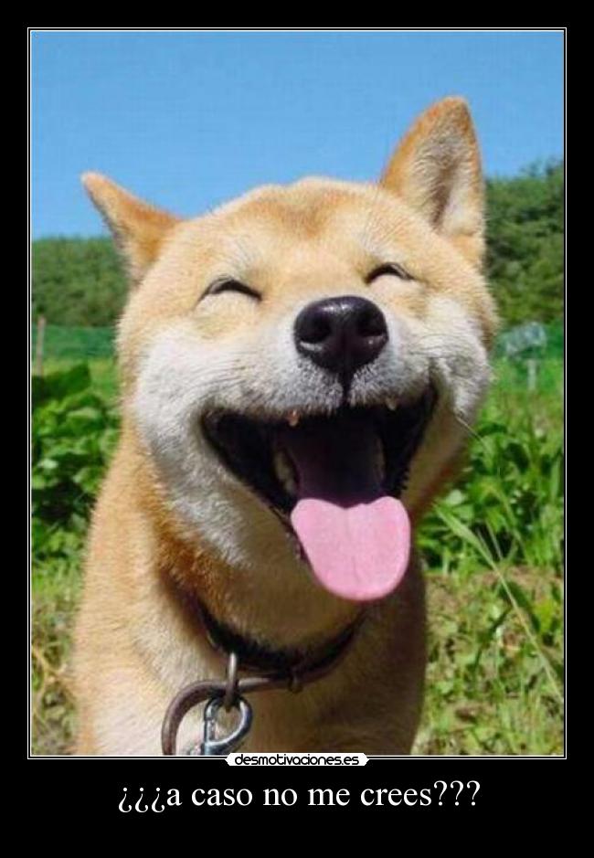 ¿¿¿a caso no me crees??? -
