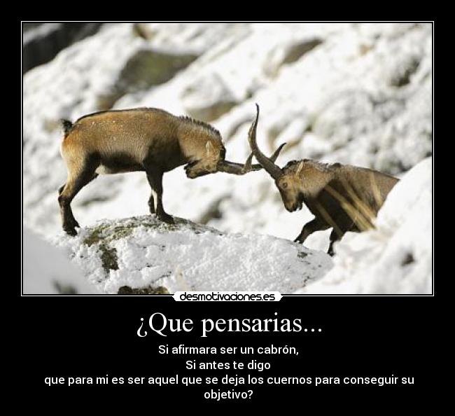 ¿Que pensarias... - 