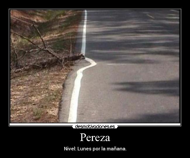 Pereza - Nivel: Lunes por la mañana.