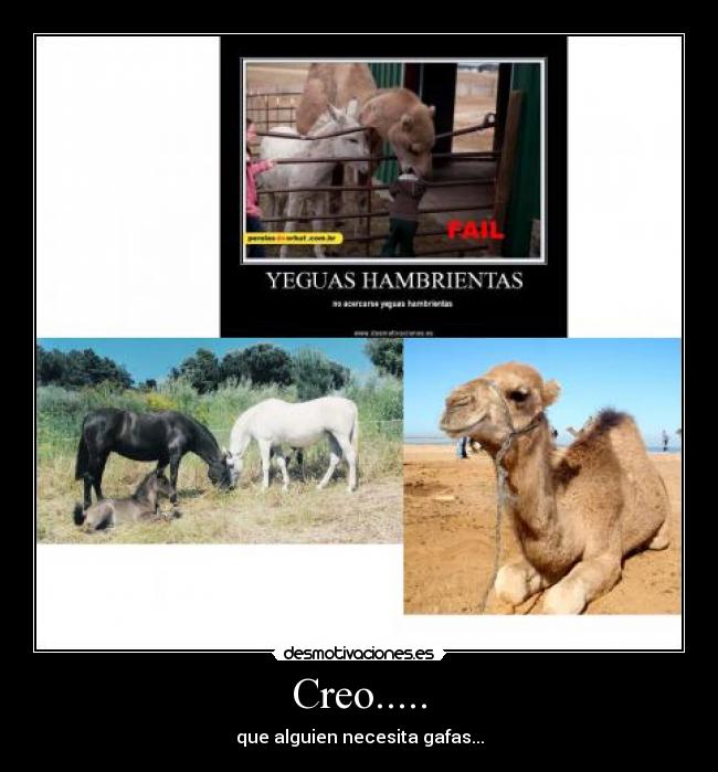 Creo..... - que alguien necesita gafas...