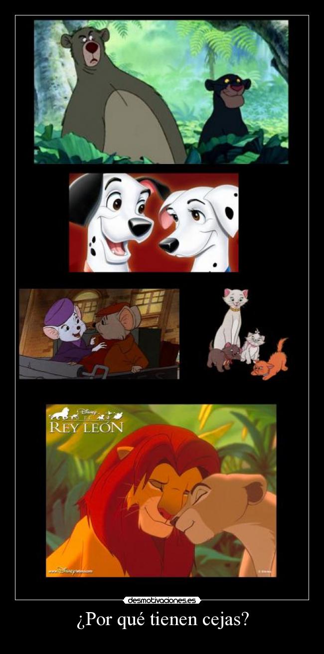 ¿Por qué tienen cejas? -