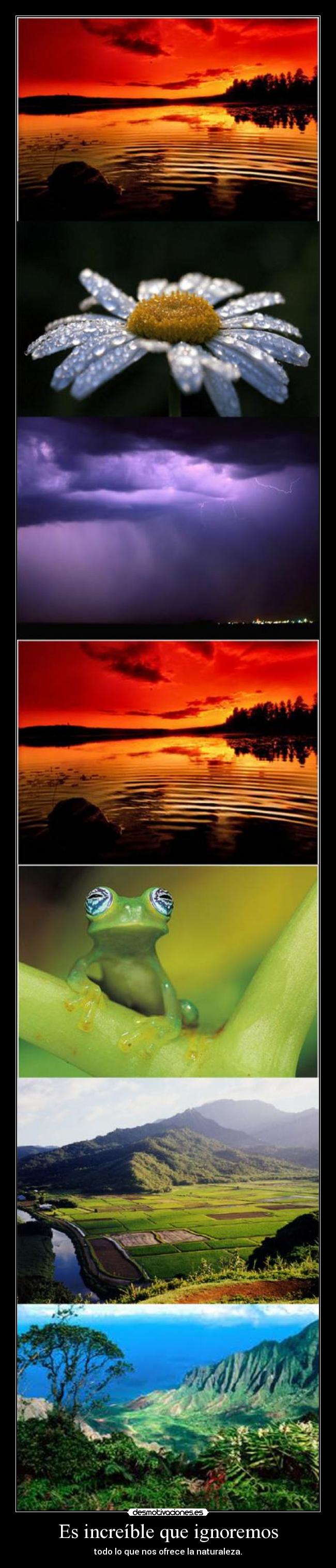 Es increíble que ignoremos - todo lo que nos ofrece la naturaleza.