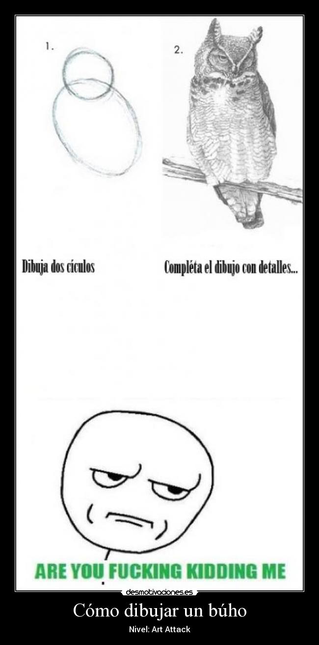 Cómo dibujar un búho - 