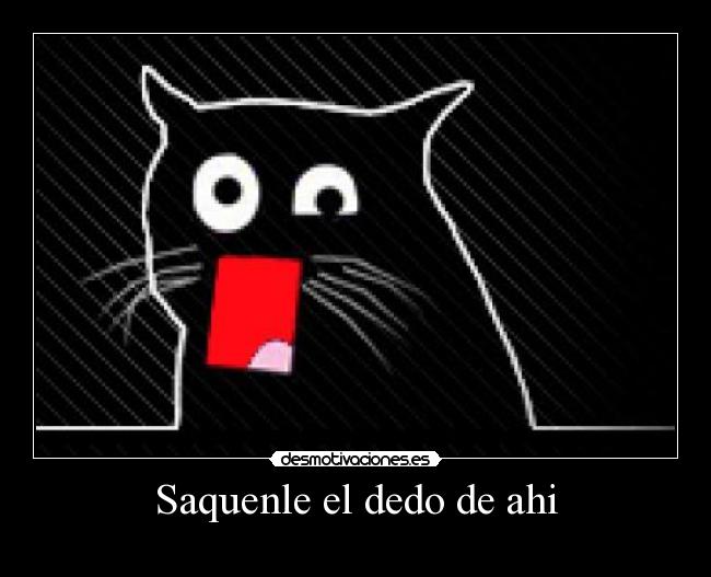 carteles gatosdedo ahi desmotivaciones