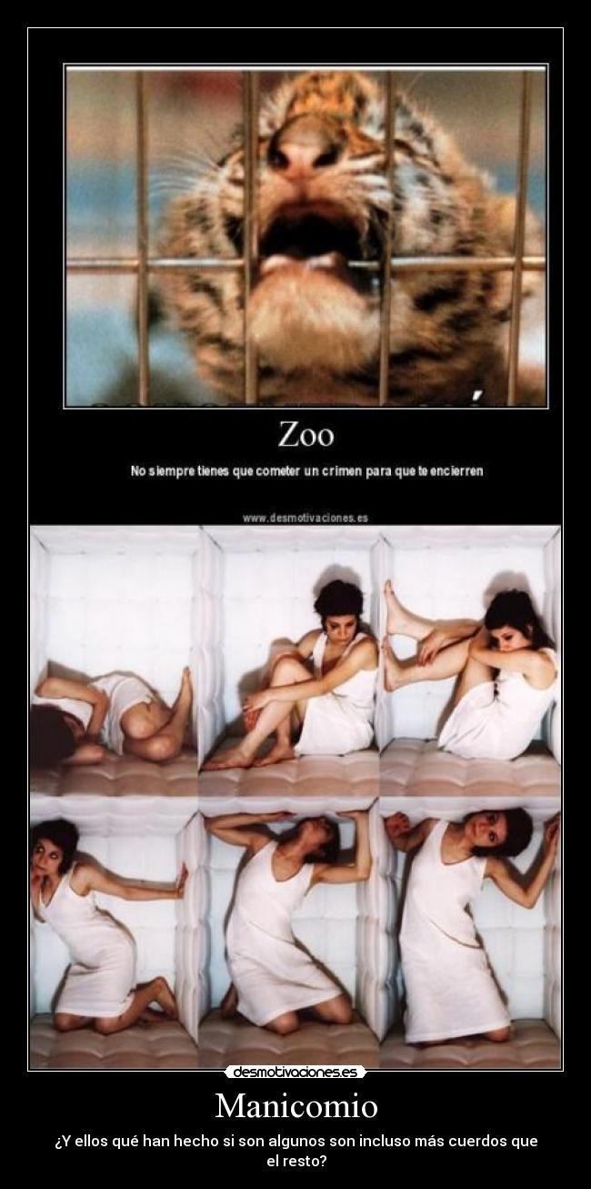 Manicomio - ¿Y ellos qué han hecho si son algunos son incluso más cuerdos que el resto?