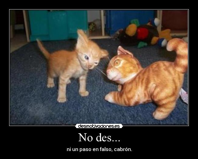 No des... - 