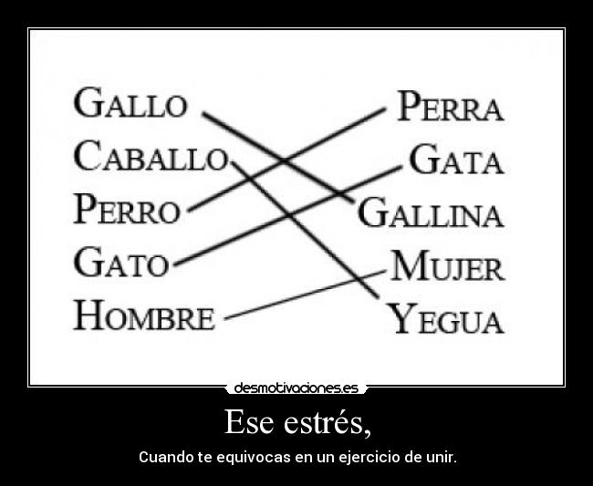 Ese estrés, - Cuando te equivocas en un ejercicio de unir.