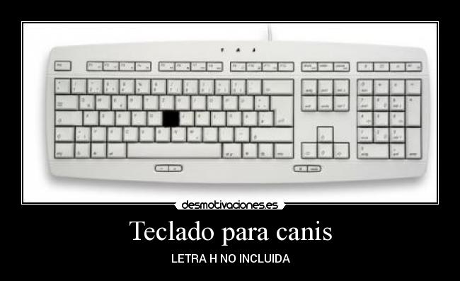Teclado para canis -
