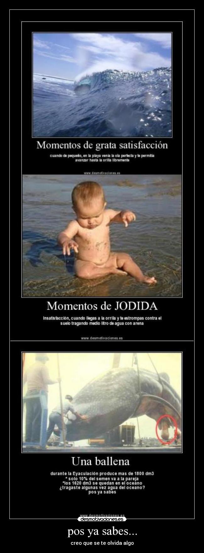 pos ya sabes... - creo que se te olvida algo