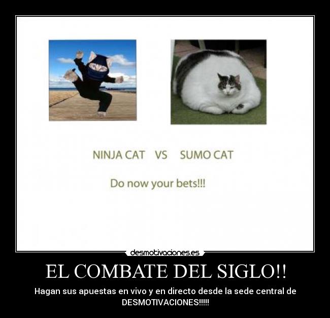 EL COMBATE DEL SIGLO!! - Hagan sus apuestas en vivo y en directo desde la sede central de
DESMOTIVACIONES!!!!!