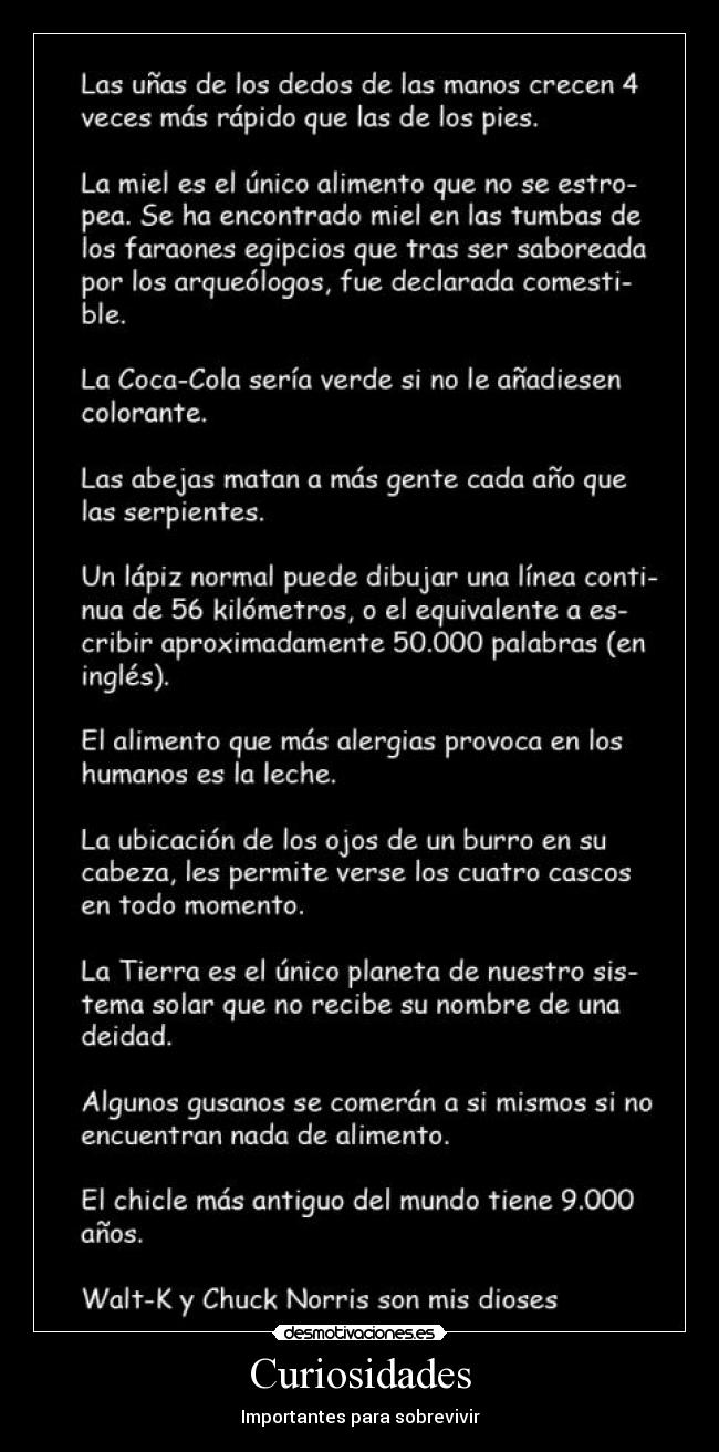 Curiosidades -