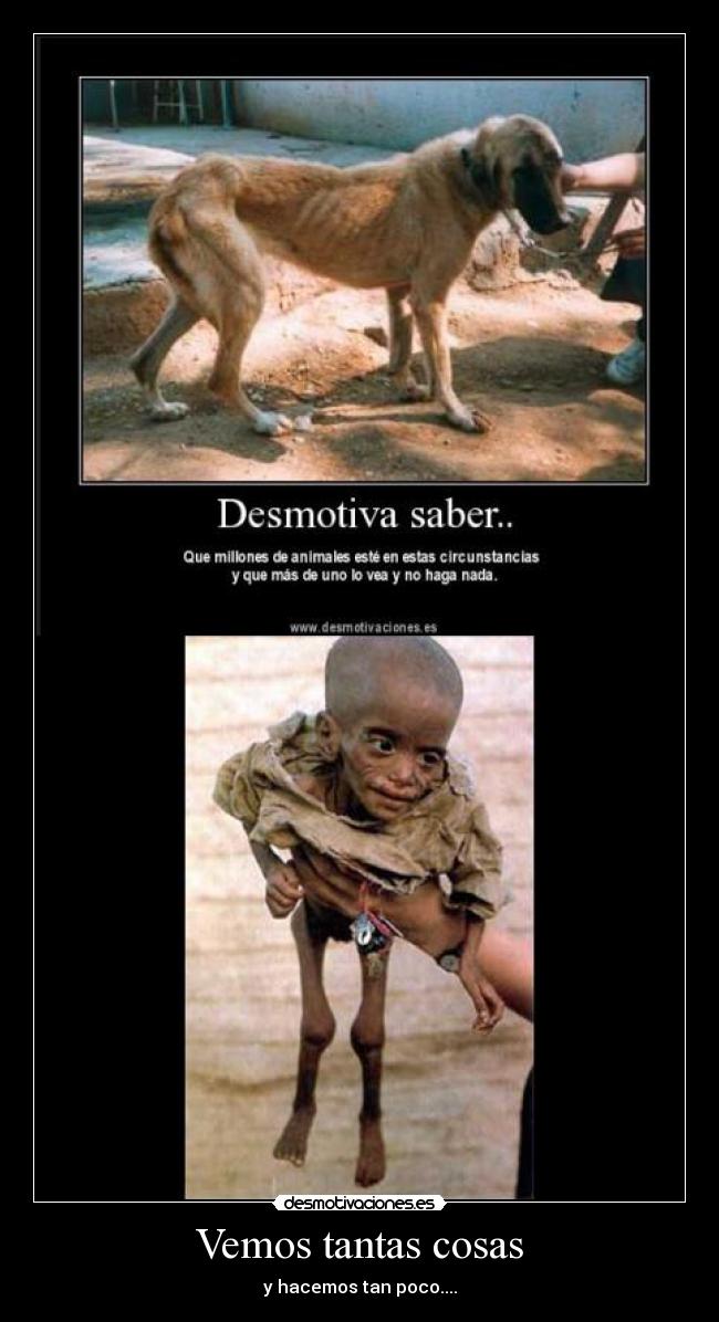 Vemos tantas cosas -