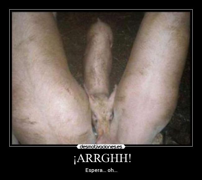 ¡ARRGHH! - 