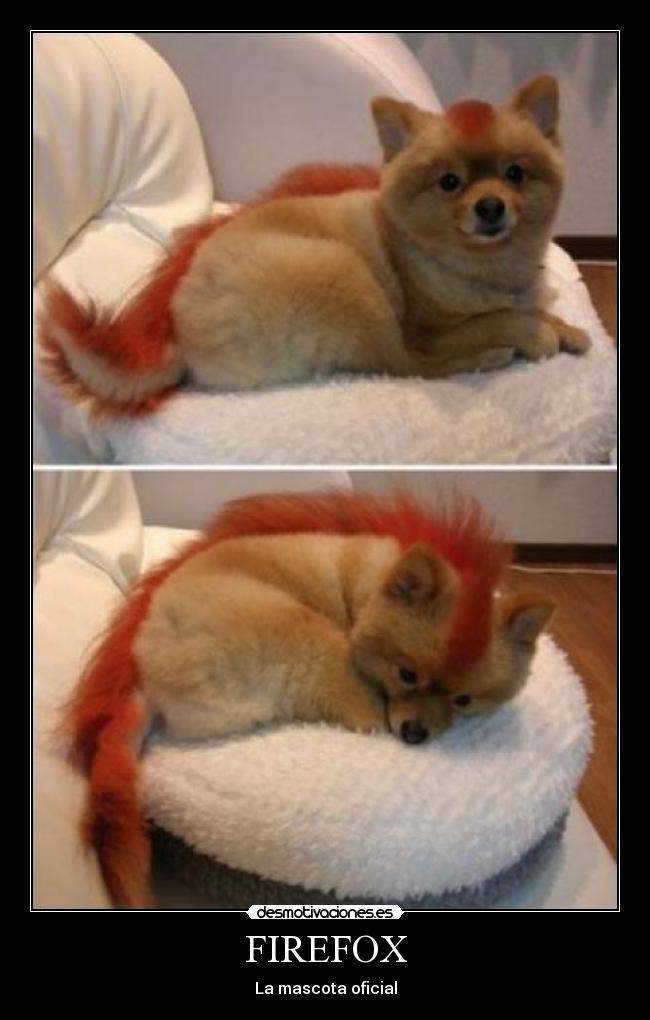 FIREFOX - La mascota oficial