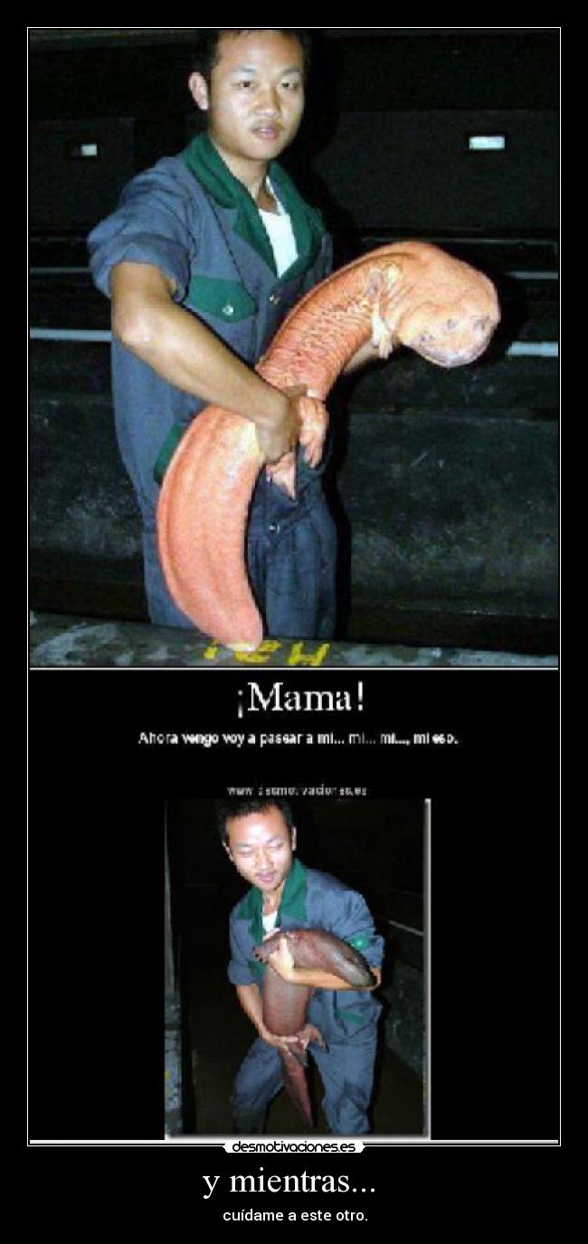 y mientras... - cuídame a este otro.