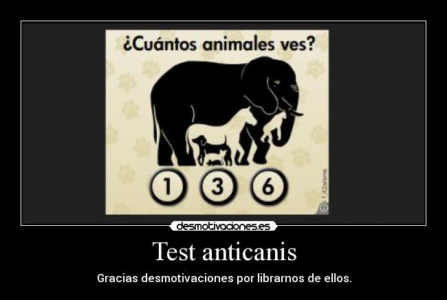 Test anticanis -
