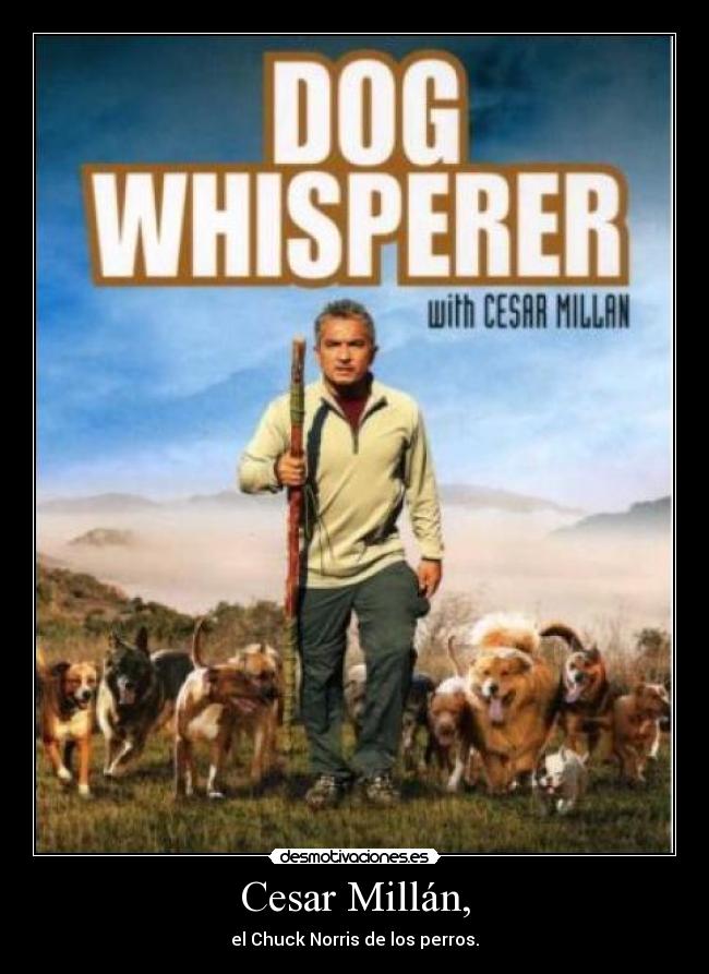 Cesar Millán, -