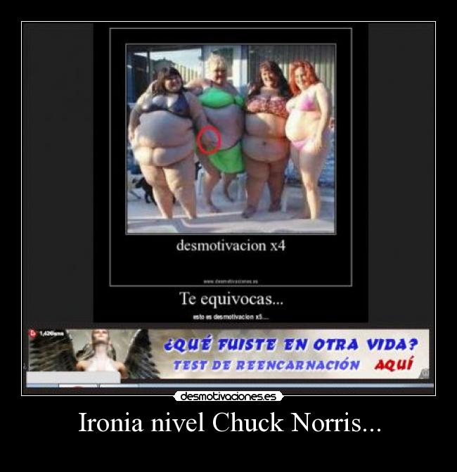 Ironia nivel Chuck Norris... -  